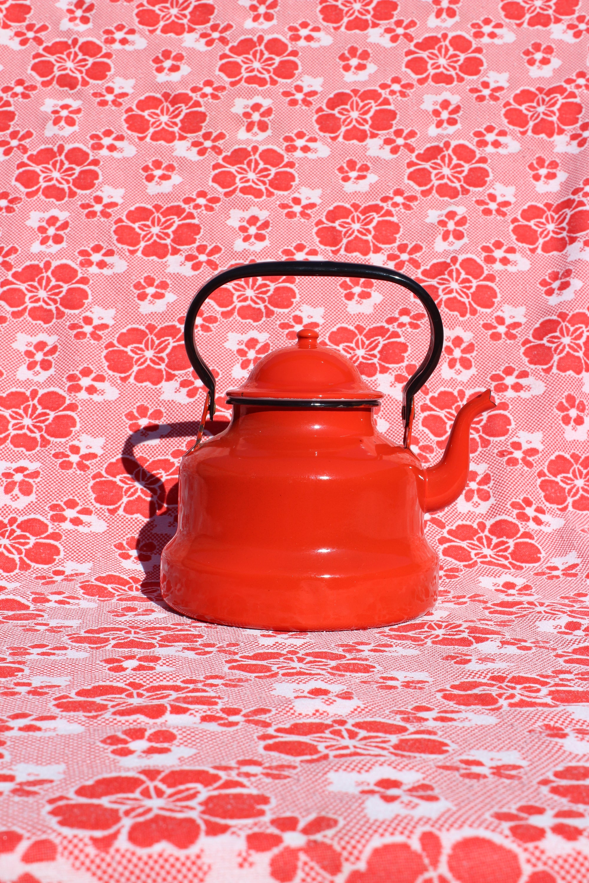 Ruby Enamel Kettle