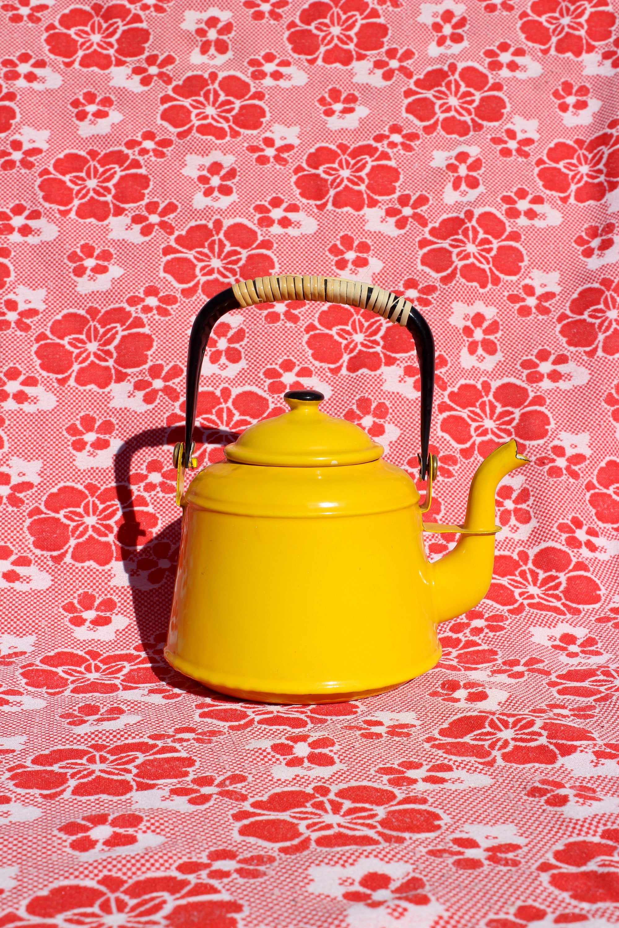 Sunshine Enamel Kettle