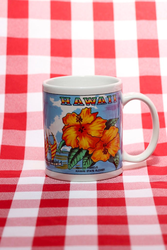 NeNe Goose Hawaii Mug