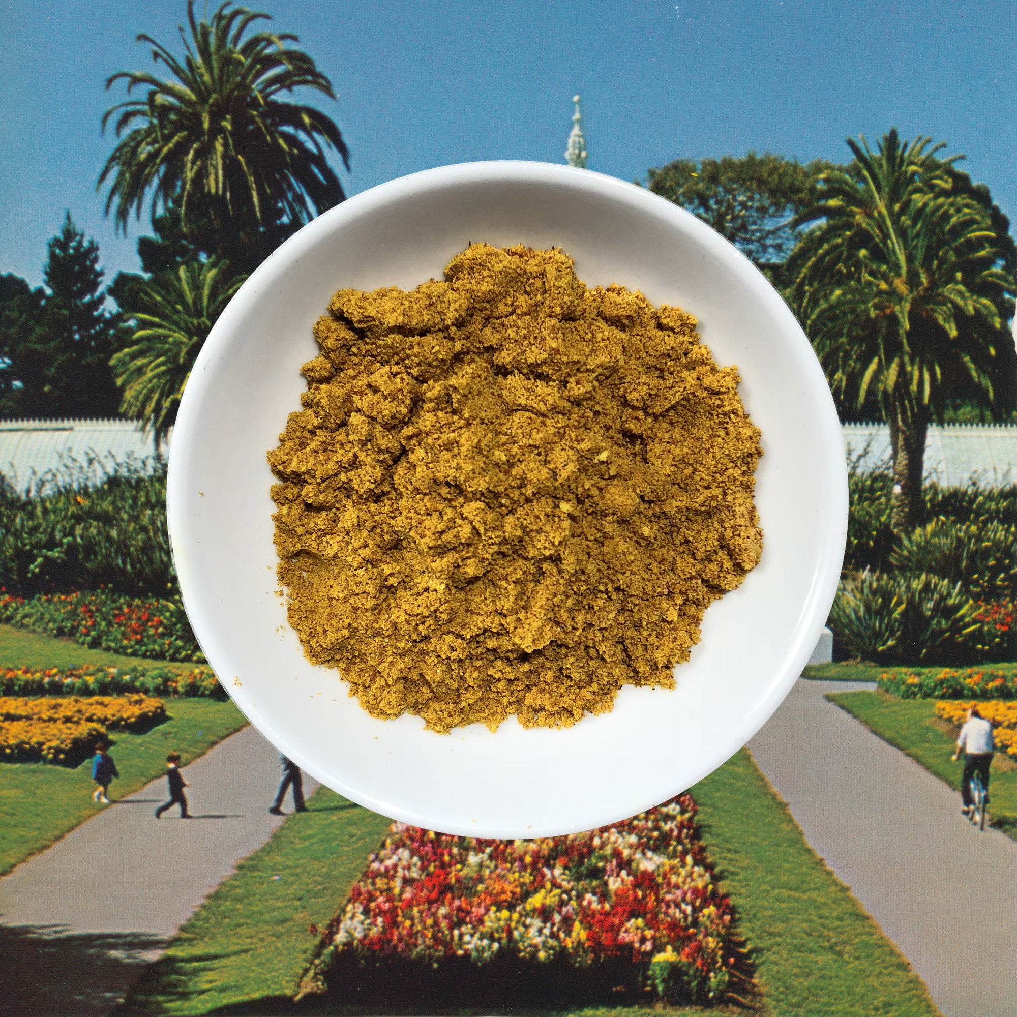 Powders – Flowerhead Tea