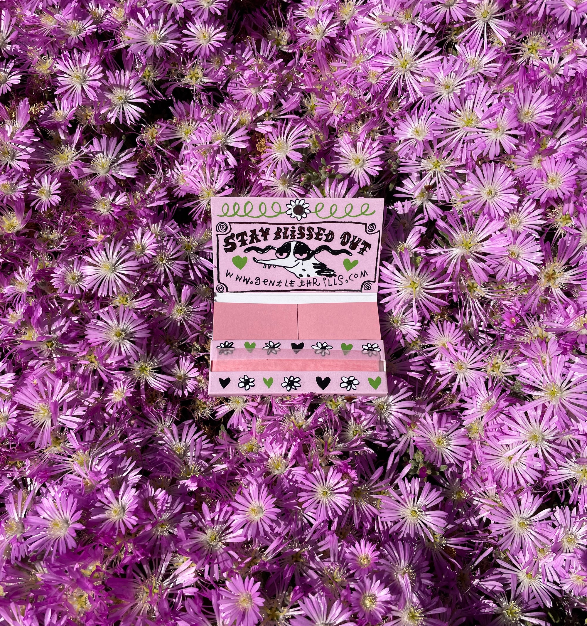 Pink Rolling Papers Flowerhead Tea pink-rolling-papers-flowerhead-tea